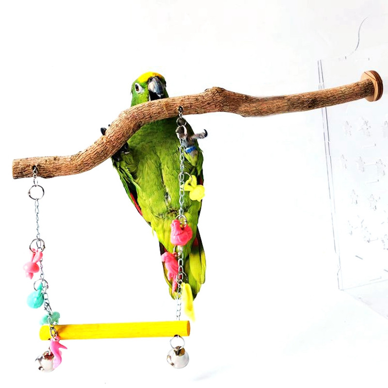 Papagoi ahvena kiik Puidust linnupuuri kiik koos kellukesega Ripplindu rippuv mänguasi Papagoi närimismängulinnu tarvikud