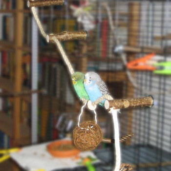 Pet Bird Parrot Cockatiel Stand Πλαίσιο Κλουβί Σκάλα αναρρίχησης Αιώρα Αναρρίχησης Bird Toys Parrot Toys