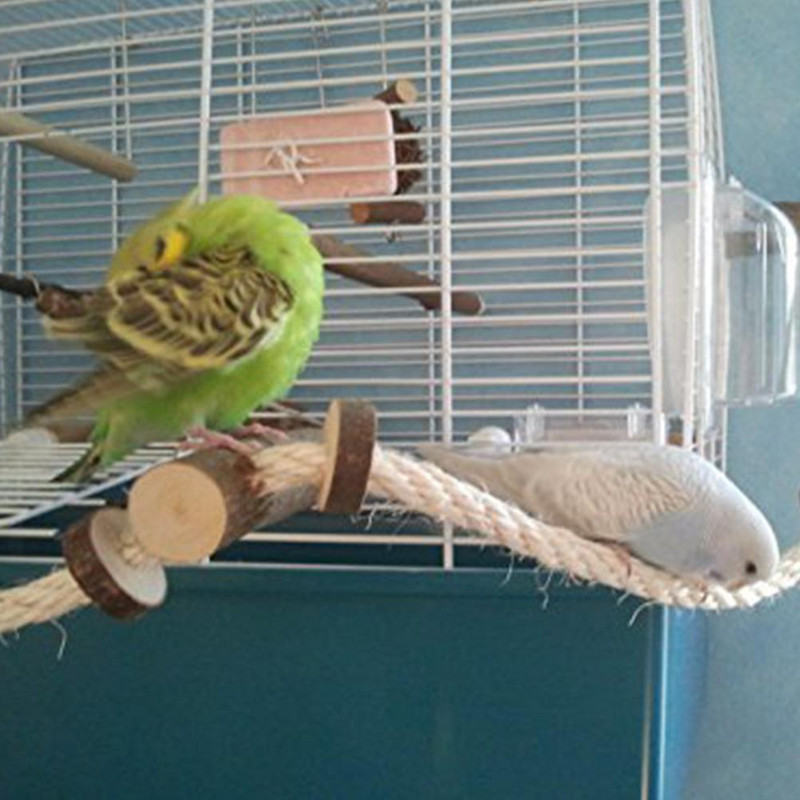Pet Bird Parrot Cockatiel Stand Πλαίσιο Κλουβί Σκάλα αναρρίχησης Αιώρα Αναρρίχησης Bird Toys Parrot Toys