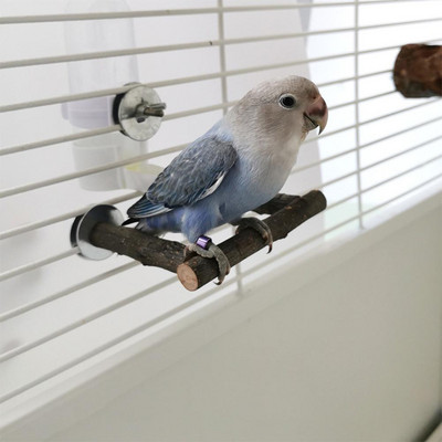 Stâlp pentru suport pentru papagali în formă de U Sticlă de apă de băut pentru păsări Bastioane din lemn masiv Suport biban pentru papagali Stâlp pentru cușcă pentru păsări