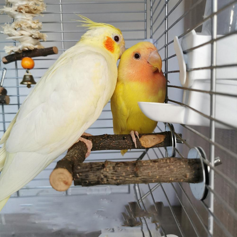 Papūgos stovas U formos paukščių geriamojo vandens butelis maisto dubuo lazdelės medžio masyvo papūgos ešerio stovas paukščių narvas