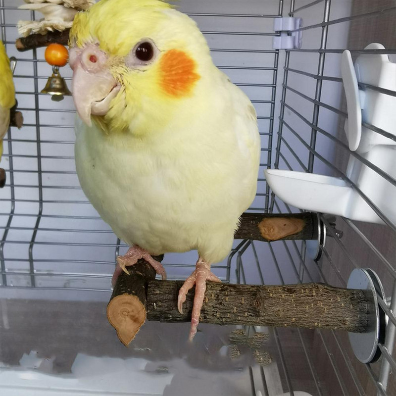 Papūgos stovas U formos paukščių geriamojo vandens butelis maisto dubuo lazdelės medžio masyvo papūgos ešerio stovas paukščių narvas