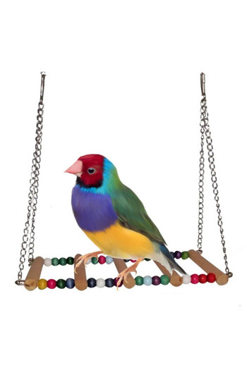 Rotipet Bridge Swing Bird Toy Аксесоар Домашни птици Развлечения за свободното време Аквариум Стоки за домашни любимци Малки стоки за активна дейност