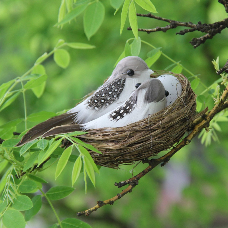 1 komplekt realistlikud sulelised pesa ja linnumunaga, kunstlikud käsitöölinnud aiapidudeks Murukaunistus Kodu autodekoratsioon