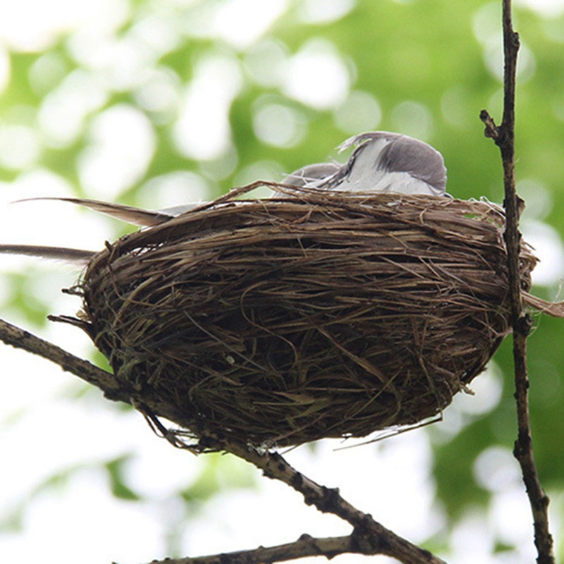 1 komplekt realistlikud sulelised pesa ja linnumunaga, kunstlikud käsitöölinnud aiapidudeks Murukaunistus Kodu autodekoratsioon