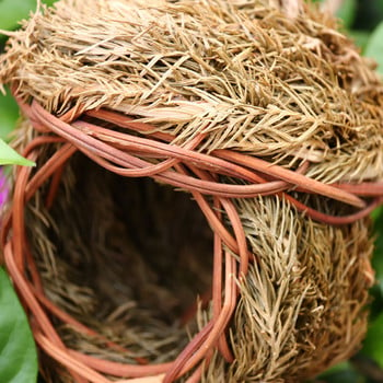 Little Bird Nest Χειροποίητο Bird House Natural Aspen Reed Parrot Pigeon Bird Egg Cage Weaved κρεμαστό υπνοδωμάτιο Aviary Birds Outdoor