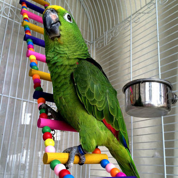 Πουλιά κατοικίδια Παπαγάλοι σκάλες αναρριχώμενο παιχνίδι κρεμαστές πολύχρωμες μπάλες με φυσικό ξύλο Τα πουλιά χρησιμοποιούν κούνιες για άσκηση και σκαρφάλωμα στις σκάλες