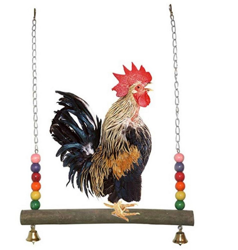 Papūgos kramtomasis žaislas didelės sūpynės, pakabinamas tiltas, grandinės sūpynės, skirtos vištų paukščiams laipioti ir kramtyti naminių gyvūnėlių sūpynes