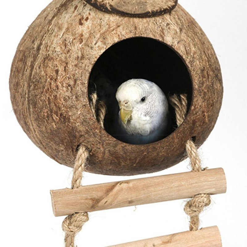 Parrot Natural Coconut Shell Bird Nest Hideout House Παρκοκρέβατο Πουλιά Προμήθειες για Χάμστερ Ινδικά χοιρίδια Πουλιά Σπίτια Ενδιαιτήματα