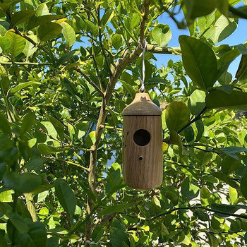 Ръчно изработена дървена висяща къща за колибри Шале Мини птичи гнезда Клетка за красив външен двор Декорация на градина Спалня за домашни любимци