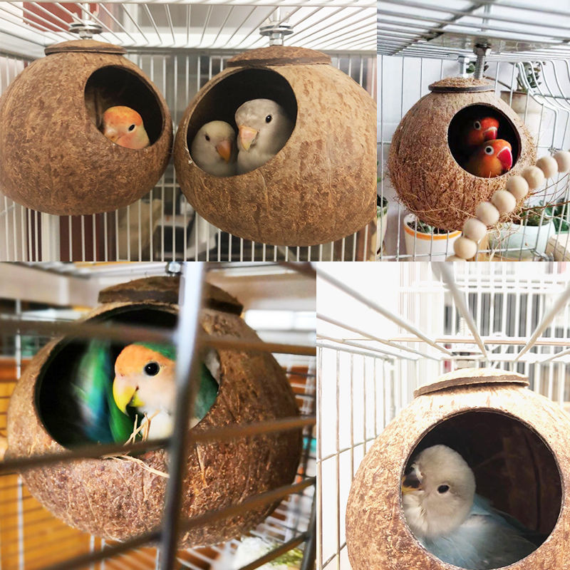 Cuști pentru păsări, cochilii de nucă de cocos naturală, cuib de păsări, casă de ascunzătoare, pentru păsări, pentru animale de companie mici, hamster, cobai, vrăbii