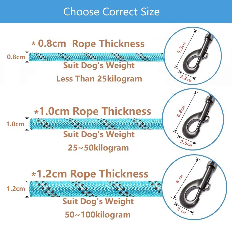 150/200/300 cm Tugev koerarihm Lemmiklooma rihm Helkurrihm suurele väikesele keskmisele suurele koerarihmale, tõmmake tõmbekonks Kuldne retriiver