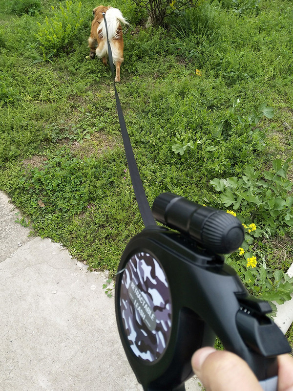 Lesă retractabilă pentru câini, 8 m, lesă pentru animale de companie rezistentă, pentru câini de talie medie, mare, plimbare, lesă de alergare, frânghie cu lanternă LED