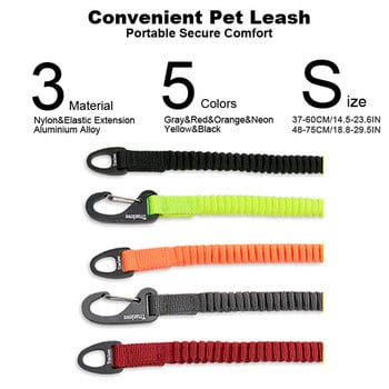 Truelove Short Bungee Dog Nylon Leash Σχοινί για κολάρο σκύλου Ανασυρόμενη προέκταση για όλες τις φυλές Εκπαίδευση τρέξιμο περπάτημα TLL2971