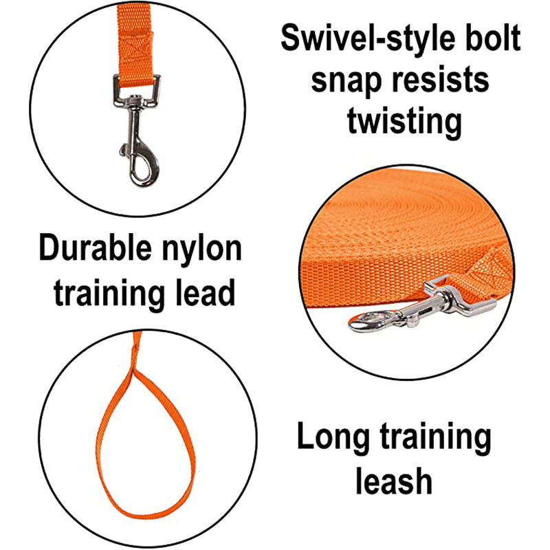 Lesă de câine de bază, durabilă, din nailon, pentru căței, pentru câini mici, mijlocii mari, antrenament de mers, camping, curte, accesorii pentru perros