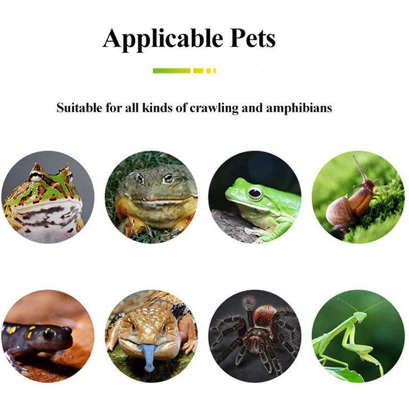 Rāpuļu spilvens Mitruma necaurlaidīgs paklājs Ķirzaka Paklājs Bruņurupuču paklājs Rāpuļu piederumi Hamelon Gekona Čūskām Bruņurupuča mājdzīvnieku būra paklājiņš