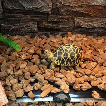 Πολλαπλών χρήσεων Reptile Heater Mat Terrarium Warmer Heating Mat 4 Sizes for Turtle Snake Lizard Spider for Frog P15F