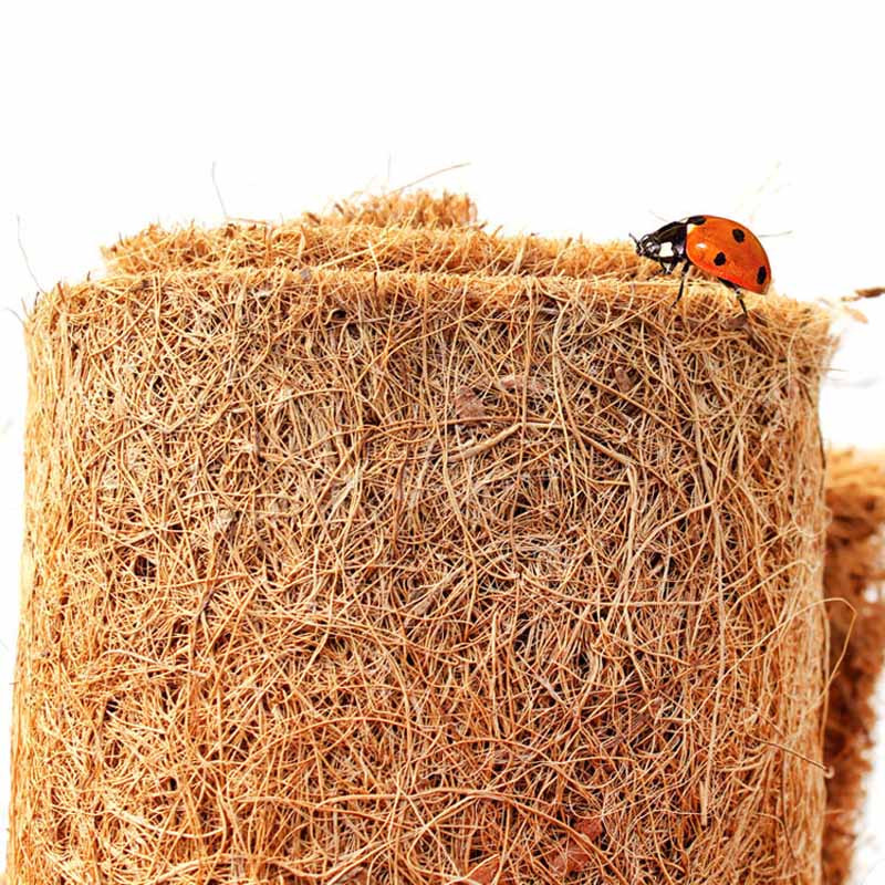 KUUM roomaja lemmiklooma voodimatt Akvaarium Kilpkonn Kilpkonn Sisalik Roomajad Ronivad kookospalmivaip NDS