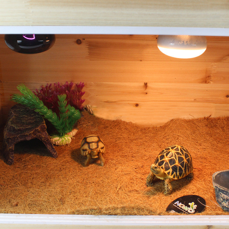 Naturaalsest kookospalmikiust roomajate vaip sisalik madu kameeleon kilpkonnamatt roomajate tarvikud lillepoti kaunistusmatt