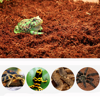 Έδαφος ερπετών καρύδας Φυσικό υπόστρωμα από ίνες καρύδας Lizard Tortoise Reptile Bedding Soil Reptile Terrariums Bottom Supplies