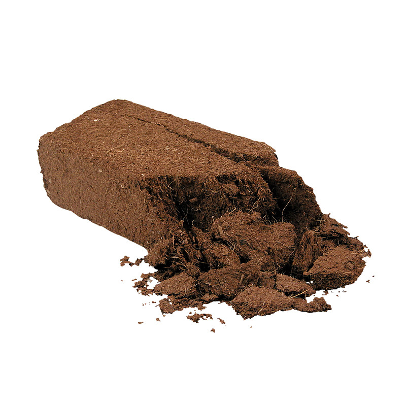 Rāpuļu kokosriekstu augsne Dabīgais kokosriekstu šķiedras substrāts Ķirzaka Bruņurupucis Rāpuļu pakaiši Augsne Rāpuļu terāriji Apakšējie piederumi