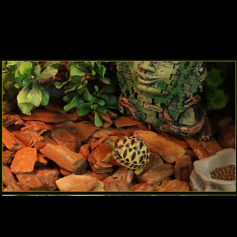 250g/650g rāpuļu ķirzaka bruņurupuča čūskas aksesuārs pakaišu materiāls Priedes mizas granulas