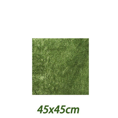 Roomajate vaip Roomajate terraariumi vooderdised Lemmikloomade elupaiga allapanu Pehme matt kilpkonnakameeleoni habemega draakonkilpkonnade iguaani madude jaoks