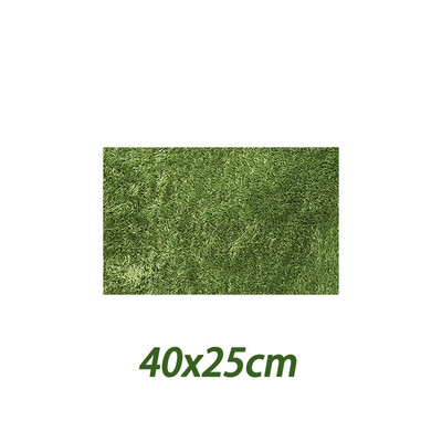 Roomajate vaip Roomajate terraariumi vooderdised Lemmikloomade elupaiga allapanu Pehme matt kilpkonnakameeleoni habemega draakonkilpkonnade iguaani madude jaoks