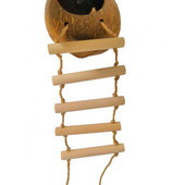 Decor cușcă pentru hamac, coajă de nucă de cocos, papagal, păsări, cuib pentru animale de companie, scară, decor cușcă pentru pat de vară