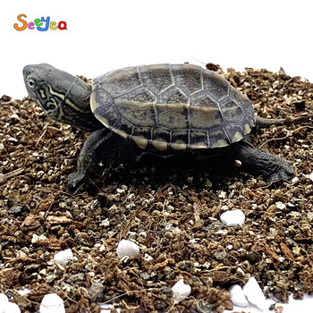 Pet Turtoise Hibernation Mineral Stone Bottom Sand Pad Топла дишаща и хидратираща постелка Lizard Snake Reptile Seeyea