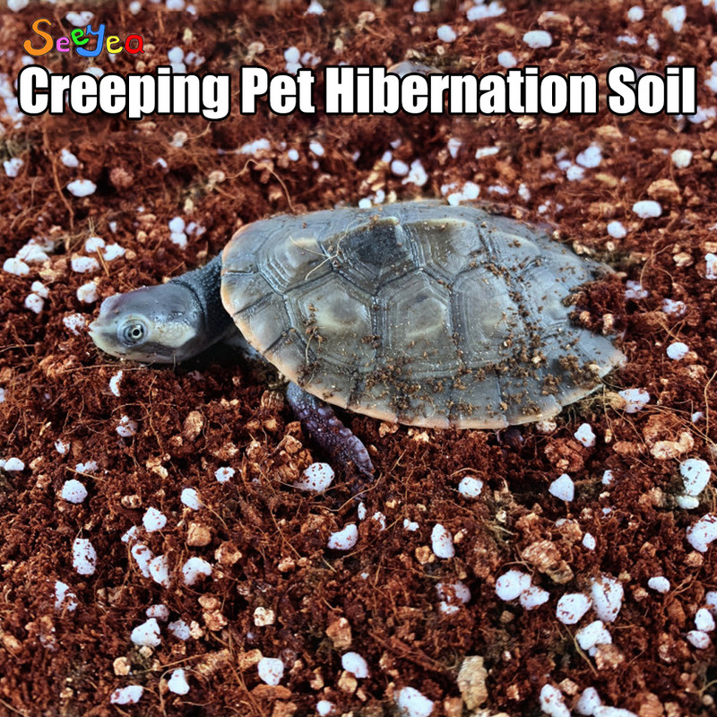 Pet Tortoise Hibernation Mineral Stone Battom Sand Pad Ζεστό αναπνεύσιμο και ενυδατικό κρεβάτι Lizard Snake Reptile Seeyea