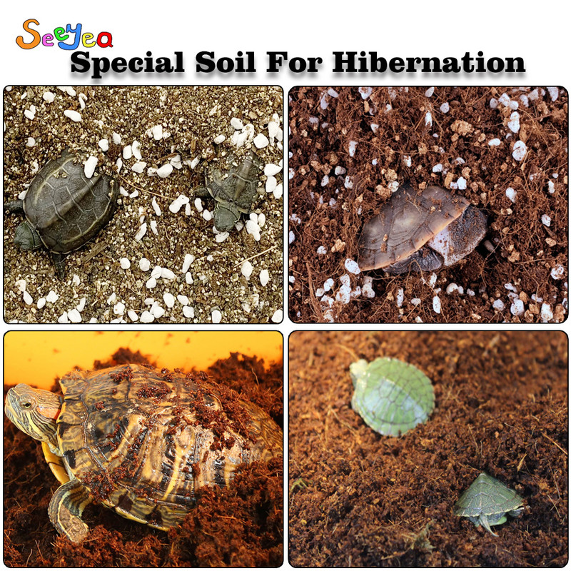 Pet Tortoise Hibernation Mineral Stone Battom Sand Pad Ζεστό αναπνεύσιμο και ενυδατικό κρεβάτι Lizard Snake Reptile Seeyea