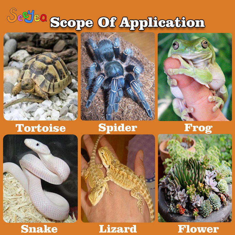 Pet Tortoise Hibernation Mineral Stone Battom Sand Pad Ζεστό αναπνεύσιμο και ενυδατικό κρεβάτι Lizard Snake Reptile Seeyea