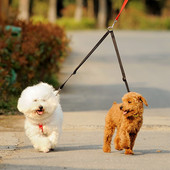 WALK 2 Two DOGS Leash COUPLER Διπλό Twin Lead Λουρί Walking