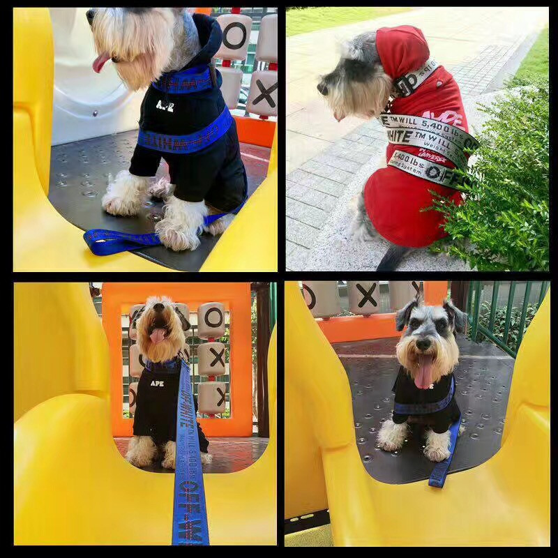 Moodne lemmiklooma koera kaelarihm 1,5 M nailonnöör koera lemmiklooma rihm plii kutsikas Keskmise suurusega koerte kaitsev koer Pukseerimisköis