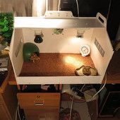 Covor din fibră de cocos pentru broaște țestoase dragon cu barbă Covor de reptile Covoraș din fibră de cocos pentru șopârlă Covoraș de pat șarpe Covoraș de iepure iepuraș