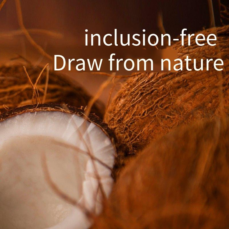 Yee kornjača kokosova cigla za penjanje kućni ljubimac kokosovo tlo brazilska kornjača trava kornjača prostirka za hibernaciju toplo zimsko odijelo od mahovine i pijeska