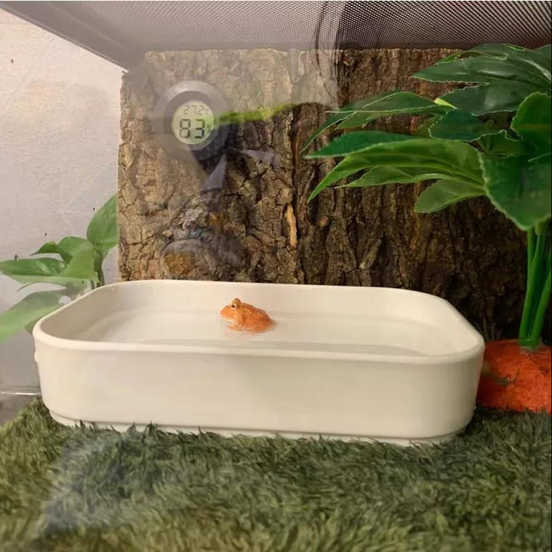 HiCoDo Material de pernă pentru broaște cu coarne Material pentru reptile Amenajări peisagistice Covor de mușchi Broasca testoasă pentru animale de companie Noroi hidratant din pădure tropicală