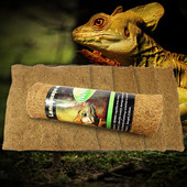 Ερπετοσαύρα που φυλάσσει το παλάτι κουτί τροφοδοσίας φιδιών Ματ αδιάβροχο με Palm Mat διακόσμηση μαξιλαριού ζεστασιάς ζώων