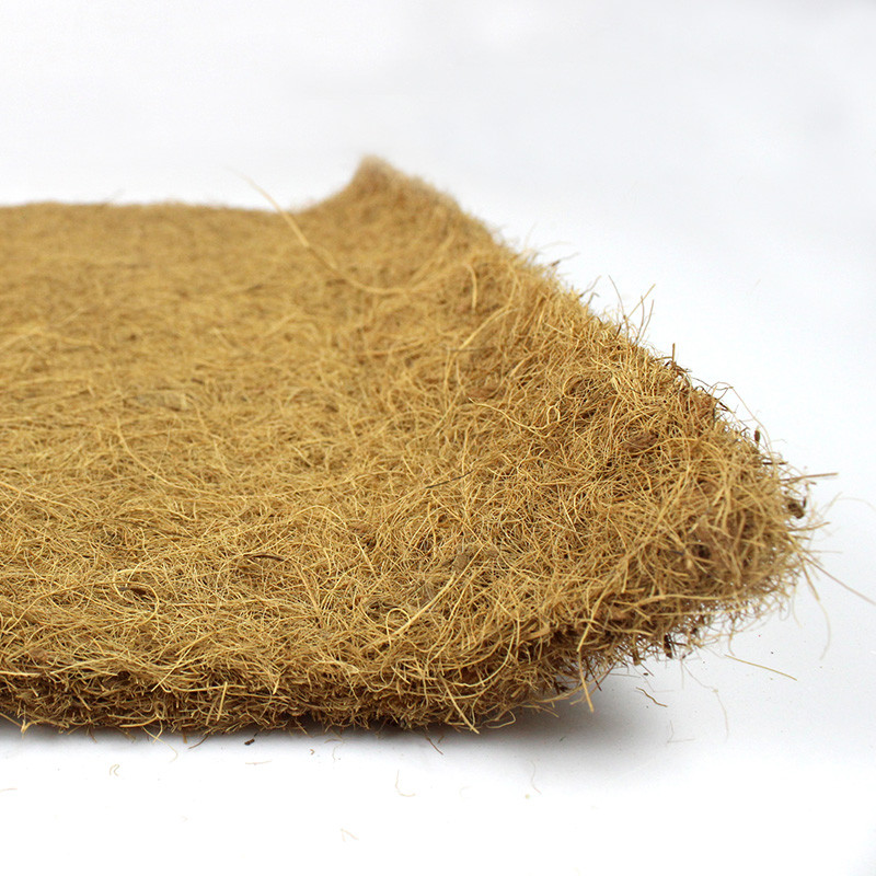 Ερπετοσαύρα που φυλάσσει το παλάτι κουτί τροφοδοσίας φιδιών Ματ αδιάβροχο με Palm Mat διακόσμηση μαξιλαριού ζεστασιάς ζώων