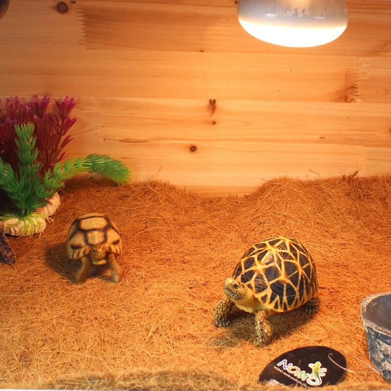 Ερπετοσαύρα που φυλάσσει το παλάτι κουτί τροφοδοσίας φιδιών Ματ αδιάβροχο με Palm Mat διακόσμηση μαξιλαριού ζεστασιάς ζώων