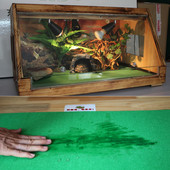 80x40cm Rāpuļi Paklāju Laineris Čūskas Ķirzakas Terārijs Liels Mīksts Būris Grīda Zaļa materiāla mitrinošs apakšējais paliktnis