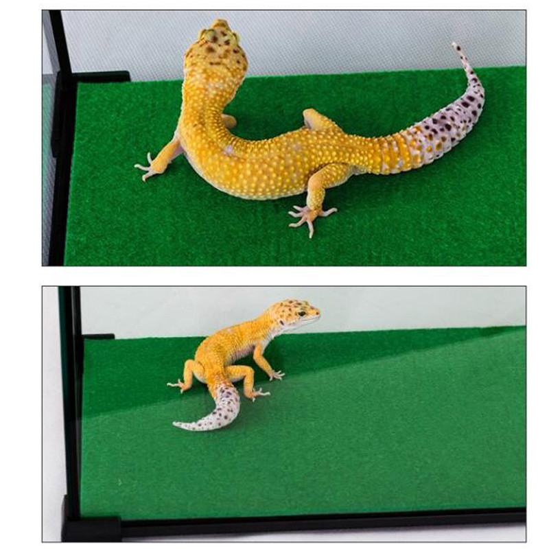 80x40cm Rāpuļi Paklāju Laineris Čūskas Ķirzakas Terārijs Liels Mīksts Būris Grīda Zaļa materiāla mitrinošs apakšējais paliktnis
