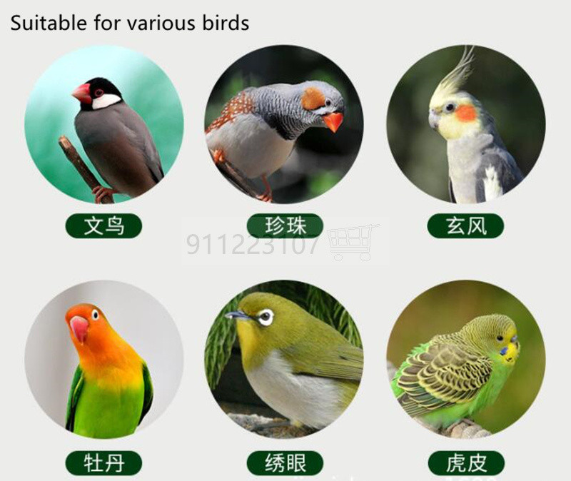 Naujas medinis paukščių namas lizdas Paukščių veisimo dėžė Paukščių papūgų veisimas Dekoratyviniai narvai Naminių gyvūnėlių priedai Namų balkonų apdaila