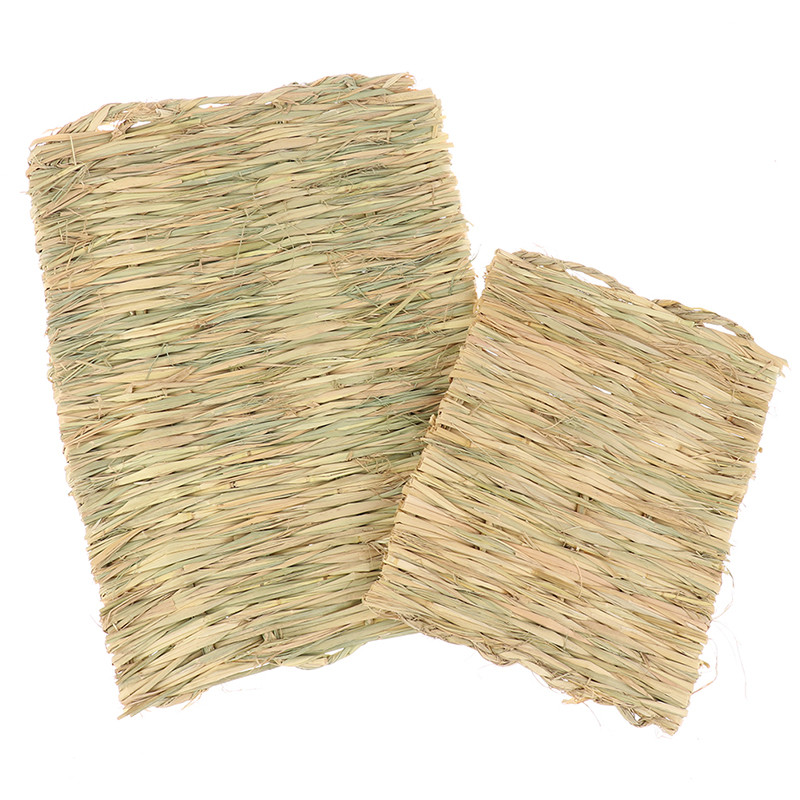 Trušu zāles košļājamā paklājiņš Mazs dzīvnieks, dabīgs, mīksts zāle kāmju mājas cūku būris