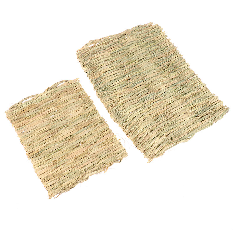 Trušu zāles košļājamā paklājiņš Mazs dzīvnieks, dabīgs, mīksts zāle kāmju mājas cūku būris