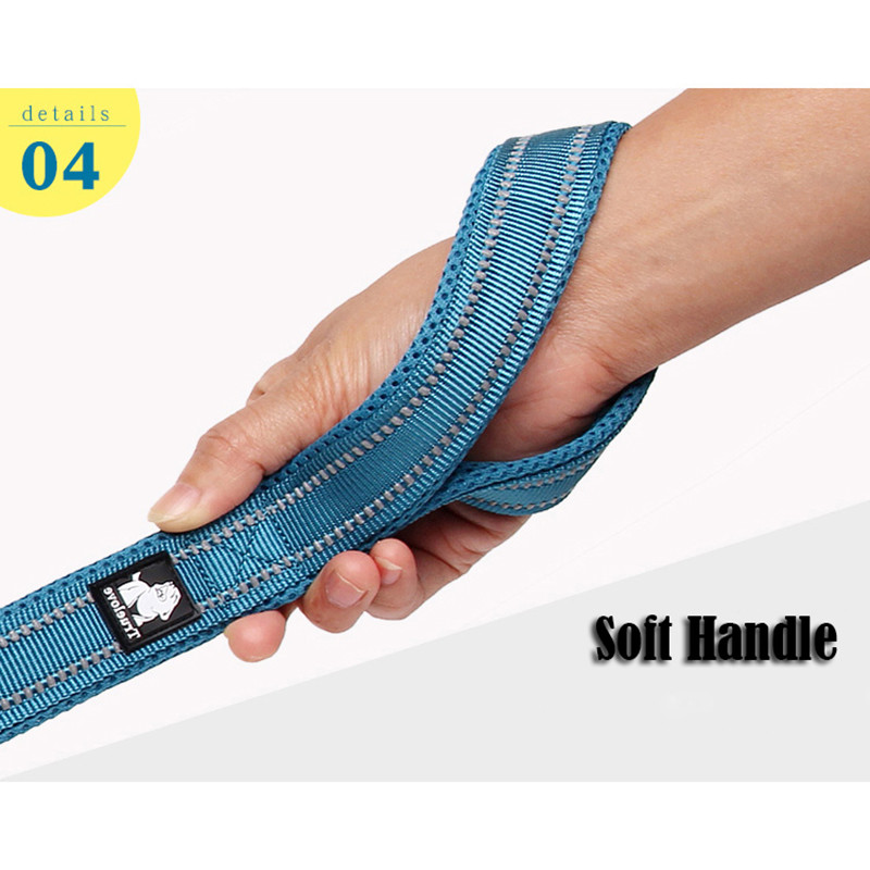 Truelove Μαλακό λουρί για κατοικίδια σκύλου σε λουρί και κολάρο Ανακλαστικό νάιλον πλέγμα γάτας Εκπαίδευση περπατήματος 11 Χρώμα Μήκος 110 cm TLL2111