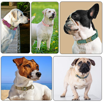 Персонализиран нашийник за идентификация на кучета Персонализирани нашийници за етикети за кучета с метална катарама Кожена подплата за малки и средни кучета Питбул Булдог