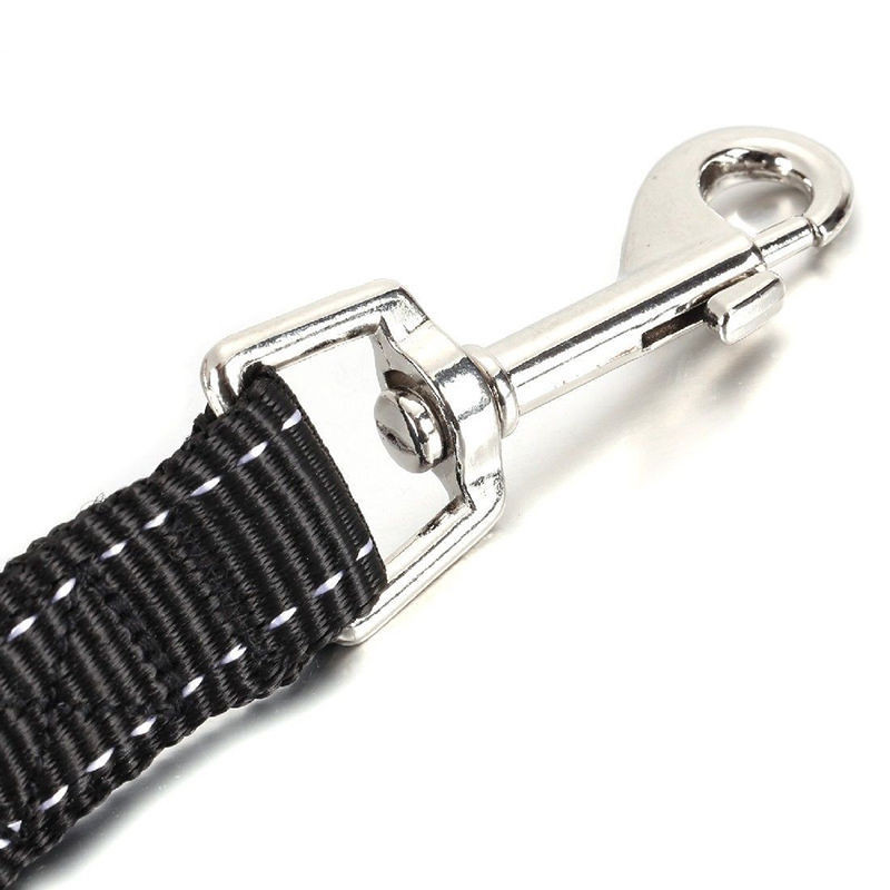 Kahesuunalised sidurid Koerte jalutusrihmaga nöör elastne pikendatud lemmikloomarihma rihm Välitreening kahele väikesele ja keskmisele suurele koerale pliikraam