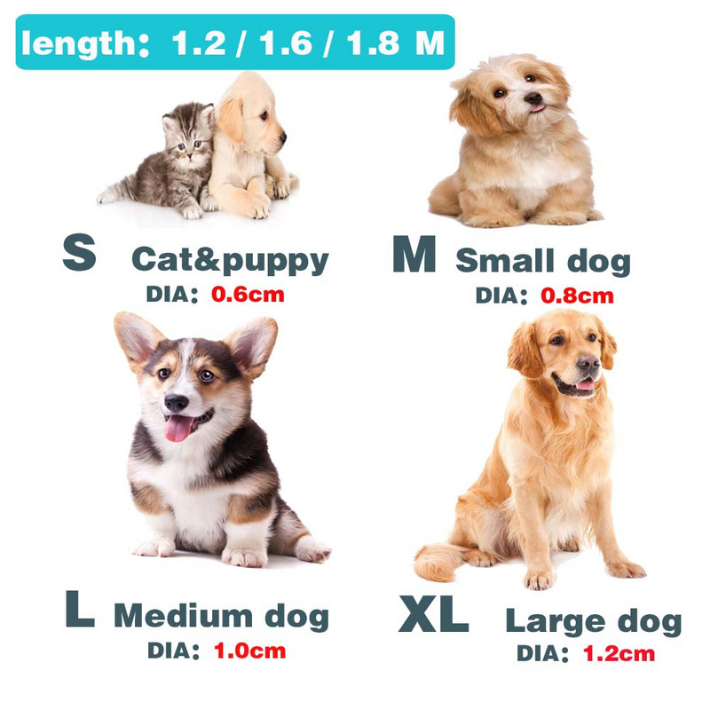 Koerarihm väikestele suurtele koertele Kasside jalutusrihmad Nailonist pliitrossid Lemmiklooma pikad jalutusrihmad Koerte õues jalutamiseks mõeldud rihm